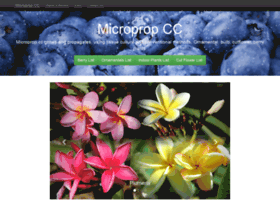 microprop.co.za