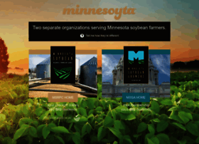 mnsoybean.org