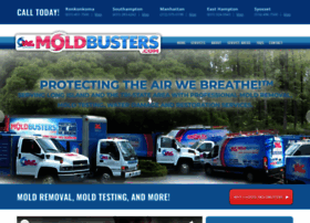 moldbusters.com