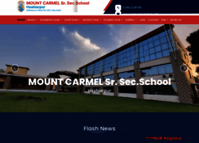 mountcarmelhsp.org