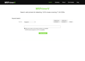 mrprimerv.com