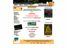 musserforests.com