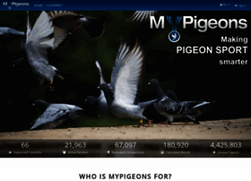 mypigeons.live