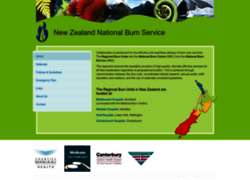 nationalburnservice.co.nz