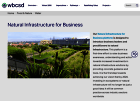 naturalinfrastructureforbusiness.org