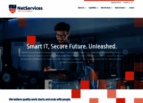 netsrvcs.com