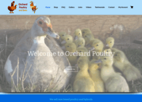 orchardpoultry.co.uk