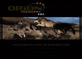 orion-taxidermy.com