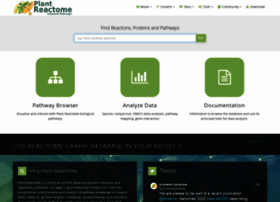 plantreactome.gramene.org