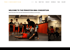 princetonmma.org