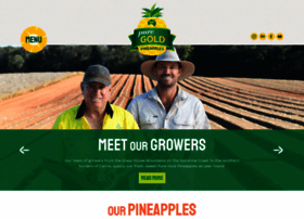 puregoldpineapples.com.au