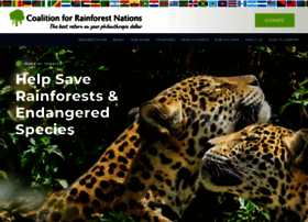 rainforestcoalition.org