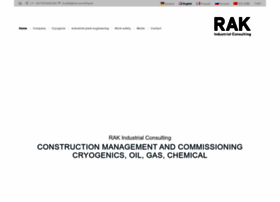 rak-consulting.de