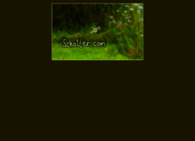 schotter.com