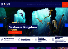 sealifesunshinecoast.com.au