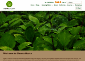 siennahosta.co.uk