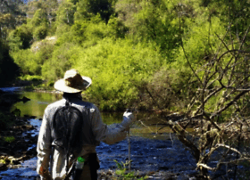 southernflyfishers.org.au