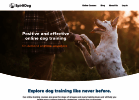 spiritdogtraining.com
