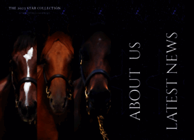 starthoroughbreds.com.au