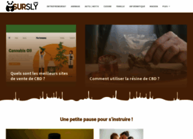 sursly.com