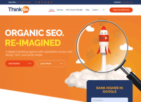 thinkbigseo.co