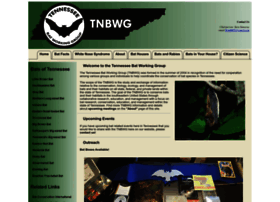 tnbwg.org