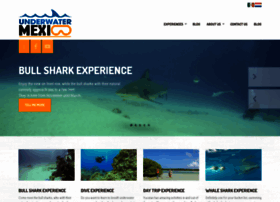 underwatermexico.com