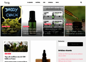 vecig.fr