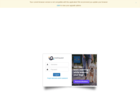 vip.anpi.com