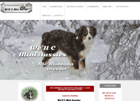 wellcminiaussies.com