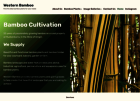 westernbamboo.com.au