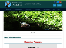 westvolusiaaudubon.org