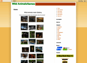 wildanimalsnames.blogspot.com