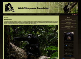 wildchimps.org