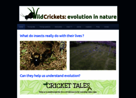 wildcrickets.org