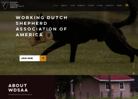 workingdutchshepherd.org