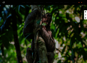 xenarthrans.org